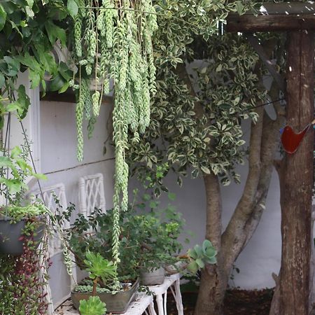 Gilcrest Place Guest House パターノスター エクステリア 写真
