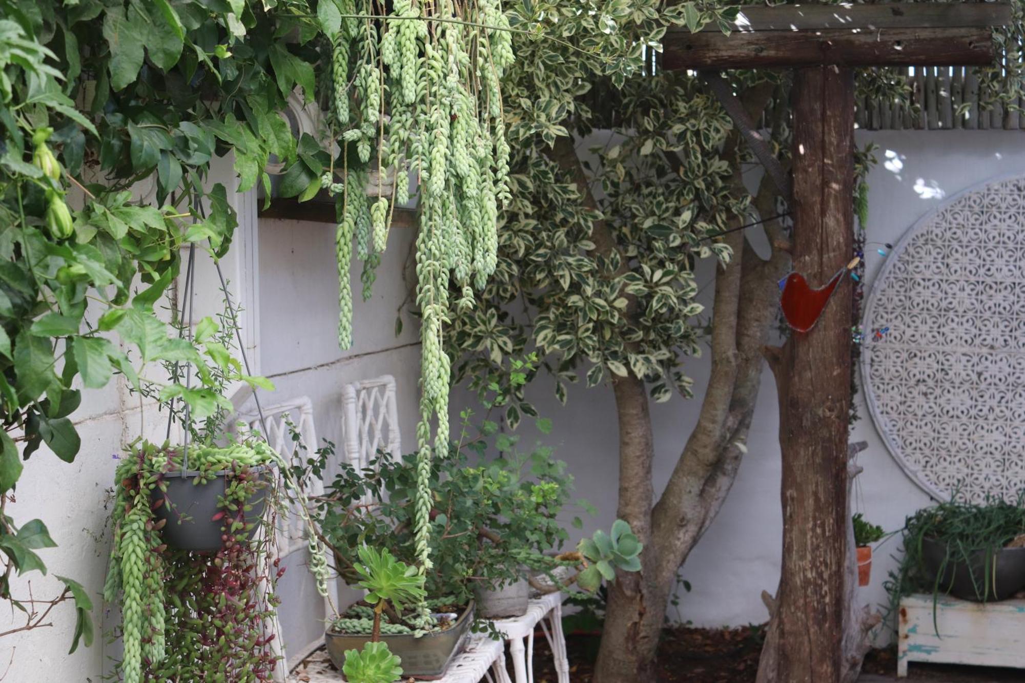 Gilcrest Place Guest House パターノスター エクステリア 写真